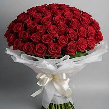 Букет 101 Красная роза Блэк Мэджик в Терволово