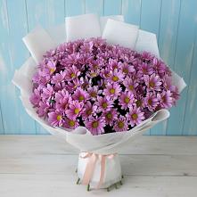 Букет цветов из:  Хризантемы #REPLACE_PRED# Терволово