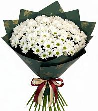 Букет цветов из:  Хризантемы в Терволово