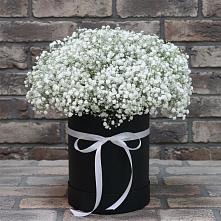 Цветочная композиция из Гипсофила в шляпной коробке #REPLACE_PRED# Терволово