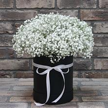 Цветочная композиция из Гипсофила в шляпной коробке в Терволово