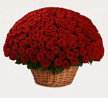 Премиум букет из: Розы в Терволово