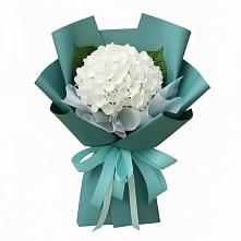 Букет цветов из:  Гортензия в Терволово